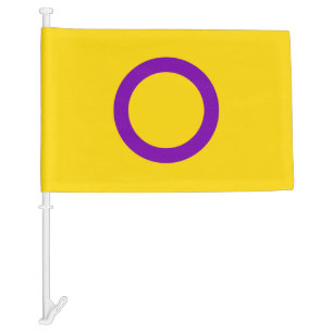 Intersex Pride Flag