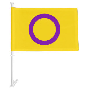 Intersex Pride Flag