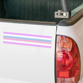 INTERSEX PRIDE FLAG BAR BUMPER STICKER