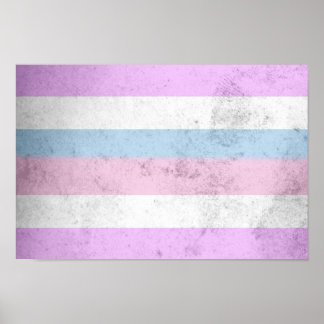 Intersex Pride Flag Poster