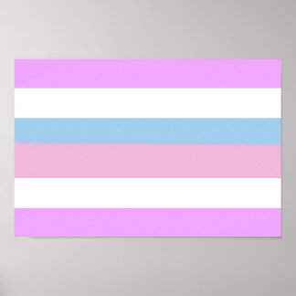 Intersex Pride Flag Poster