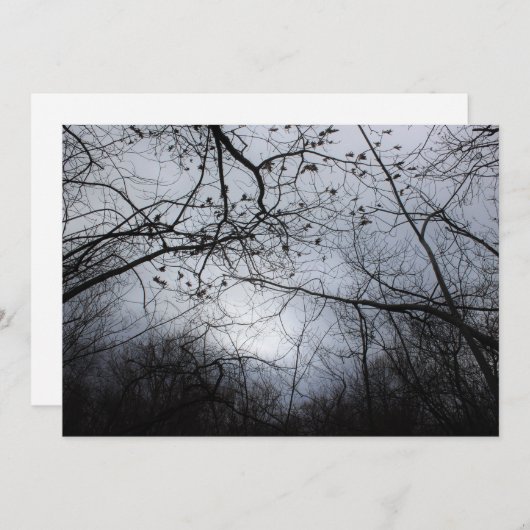 Intertwined (Front/Back)