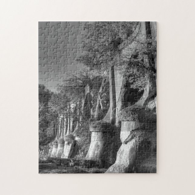 Interurban Bridge Jigsaw Puzzle (Vertical)