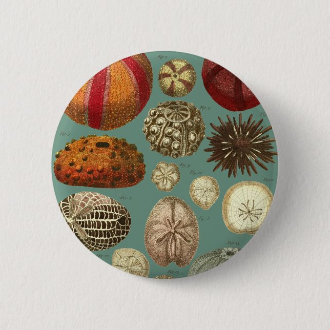 Intestina et Mollusca Linnaei Pinback Button (Front)