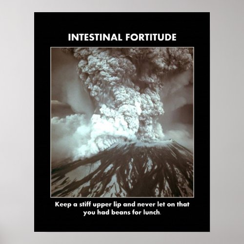 intestinal_fortitude_keep_a_stiff_upper_lip poster