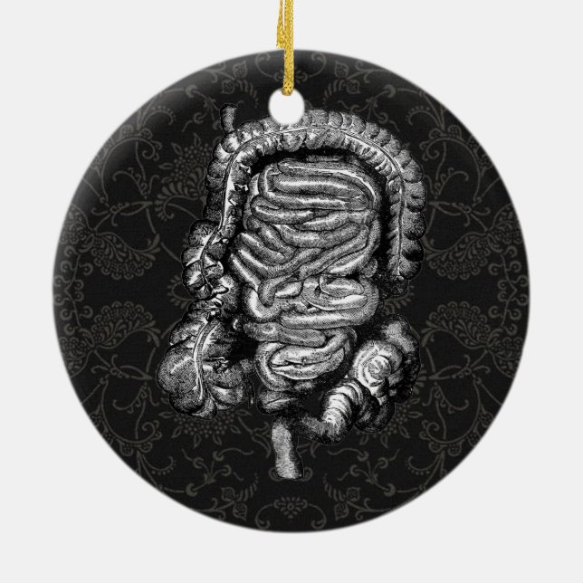 INTESTINES DIAGRAM VINTAGE CERAMIC ORNAMENT (Back)