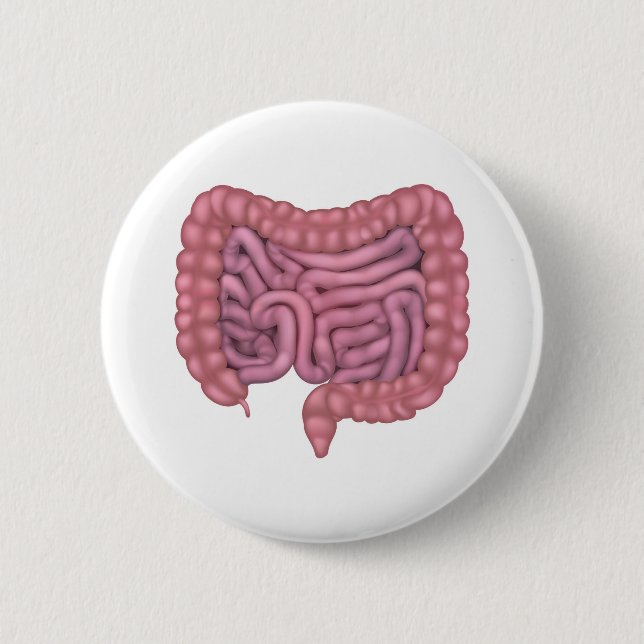 Intestines Gut Human Digestive System Button (Front)