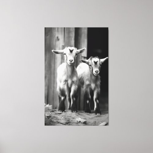 Intimate Monochromatic Baby Goat Pair Portrait Canvas Print