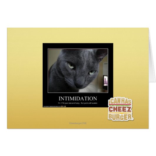 Intimidation Cards (Front Horizontal)