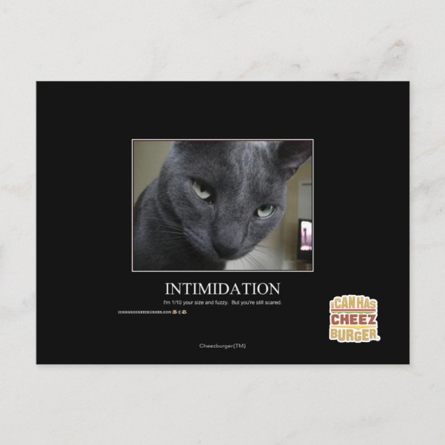 Intimidation Postcard (Front)