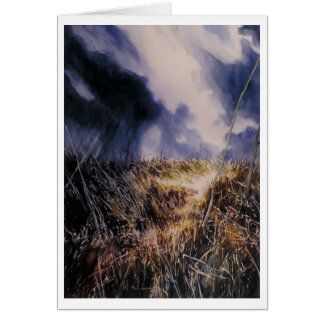 Into the Field Cards