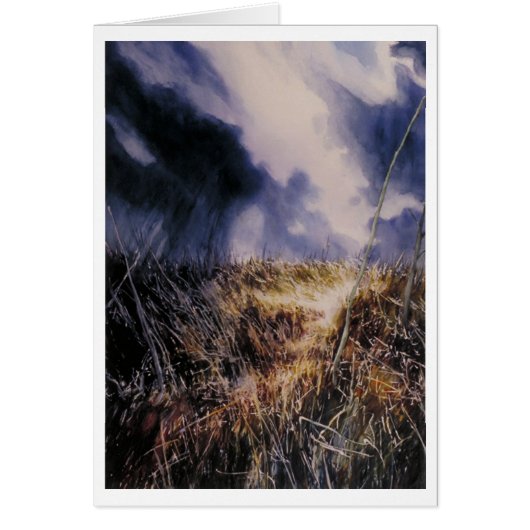 Into the Field Cards (Front)