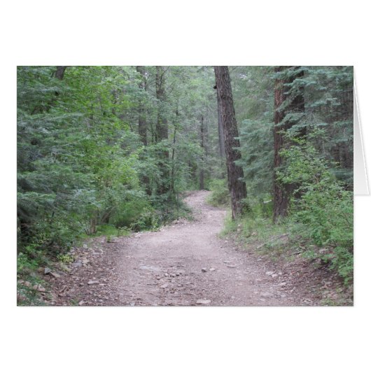 Into the Forest (Front Horizontal)