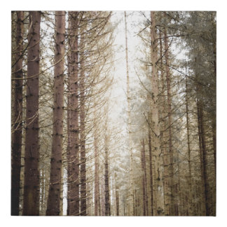 INTO THE FOREST FAUX CANVAS PRINT
