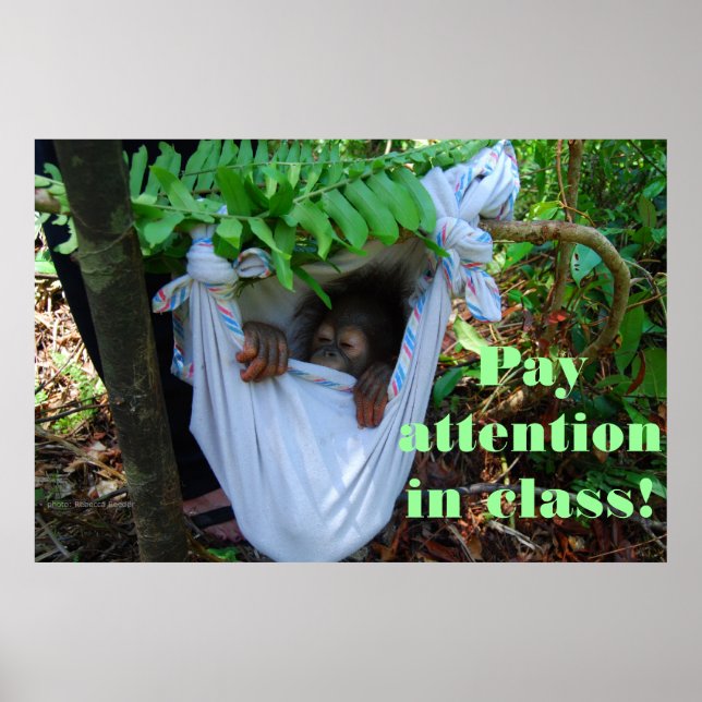 Into the Forest for Orangutan School Poster (Front)