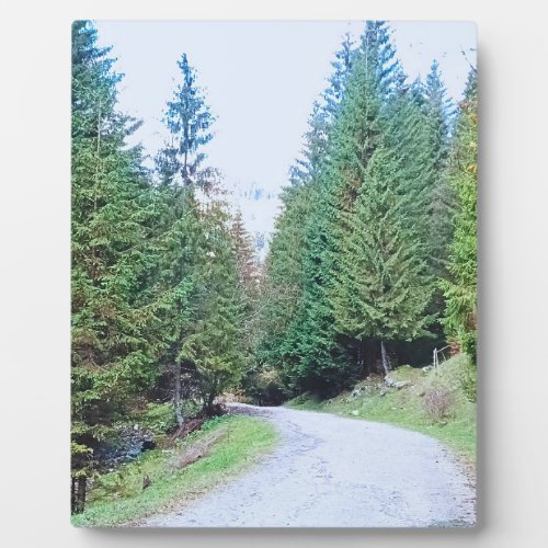 Into the Forest Heart - Wild Nature Romania Plaque