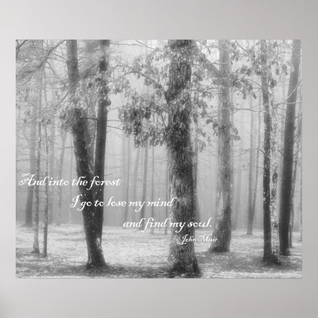 Into the Forest I Go ... Find My Soul Poster (Front)