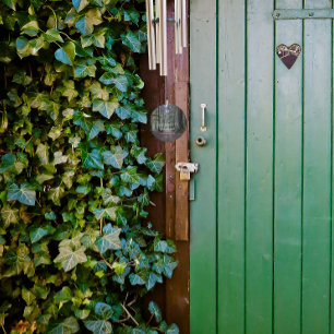 Into the Forest John Muir Quote Wind Chime