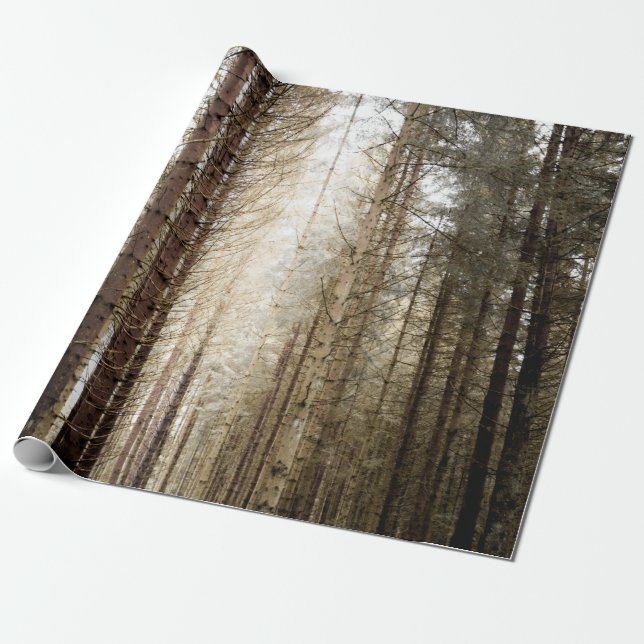 INTO THE FOREST WRAPPING PAPER (Unrolled)