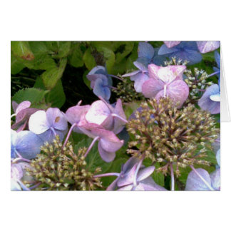 Into the garden cards