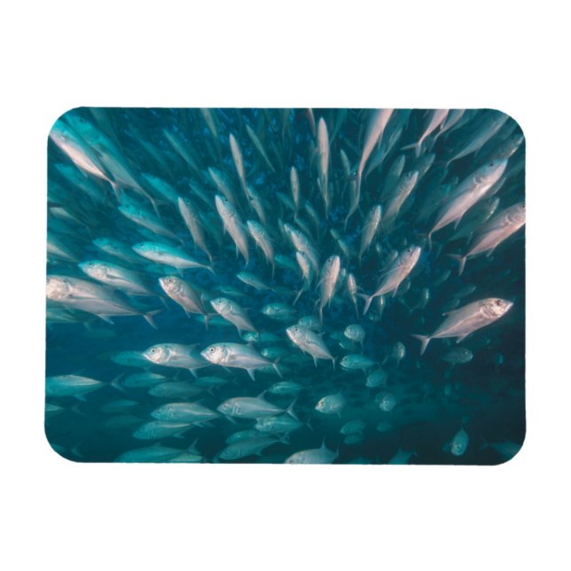 Into The Jacks Magnet (Horizontal)