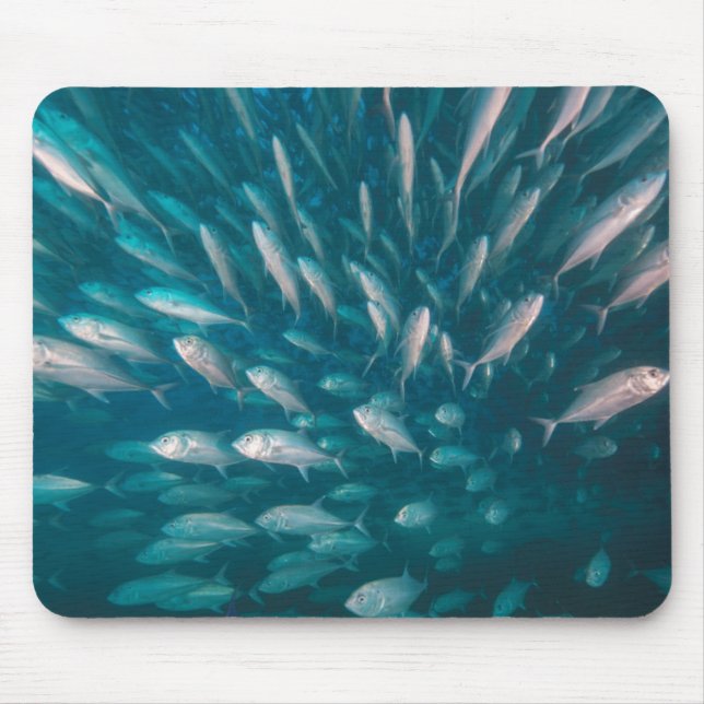 Into The Jacks Mouse Pad (Front)