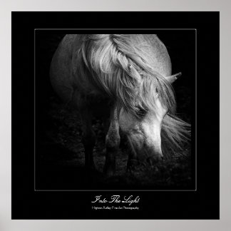 Into the Light - Dartmoor Pony Poster