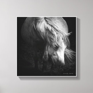 Into the Light - Dartmoor Pony SMALL Canvas Print