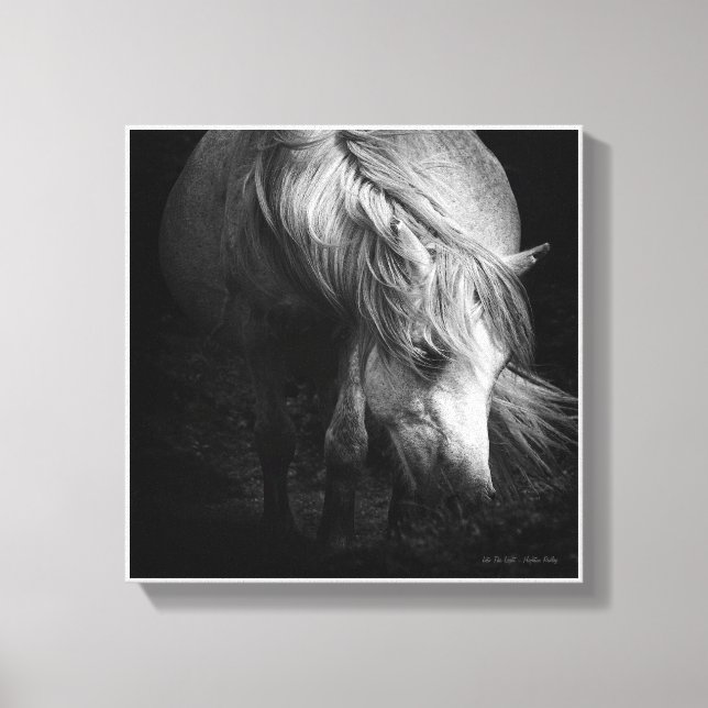 Into the Light - Dartmoor Pony SMALL Canvas Print (Front)