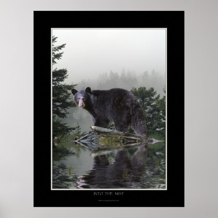 "INTO THE MIST" Black Bear Poster