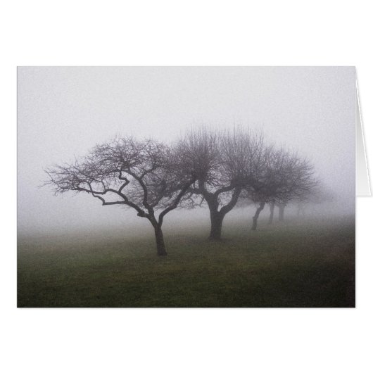Into The Mist Cards (Front Horizontal)