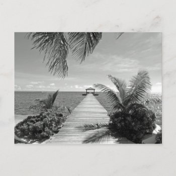 Into The Ocean Postcard by TristanInspired at Zazzle
