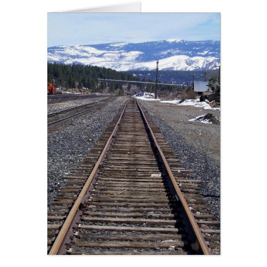 Into the Sierra Cards (Front)