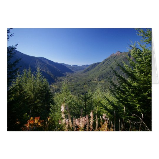 Into the valley card