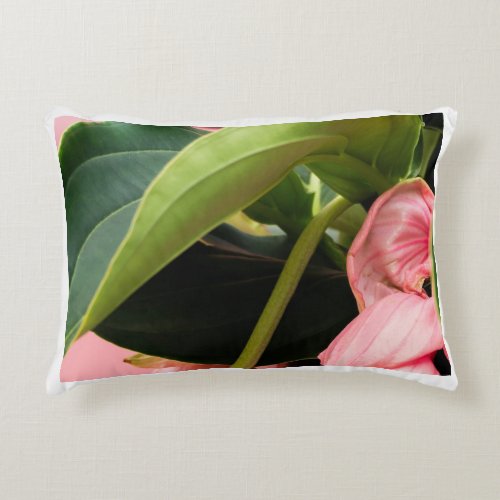 Into the Wild Nature_Inspired Pillow Covers