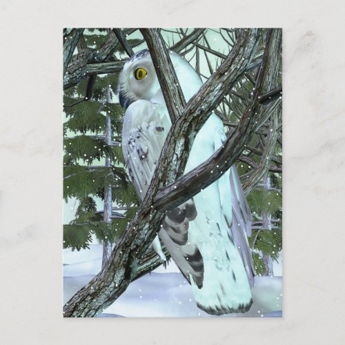 Into The Wild Snowy Owl Postcard
