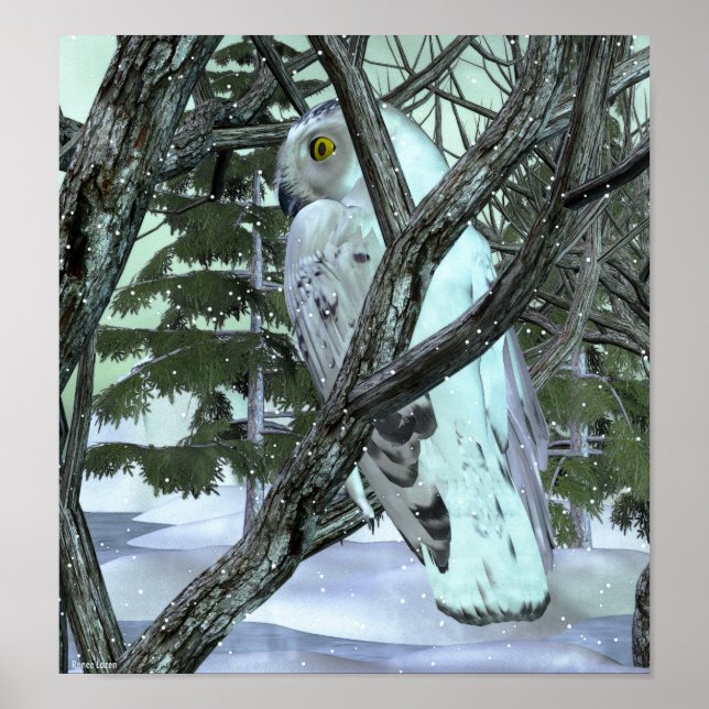 Into The Wild Snowy Owl Poster (Front)