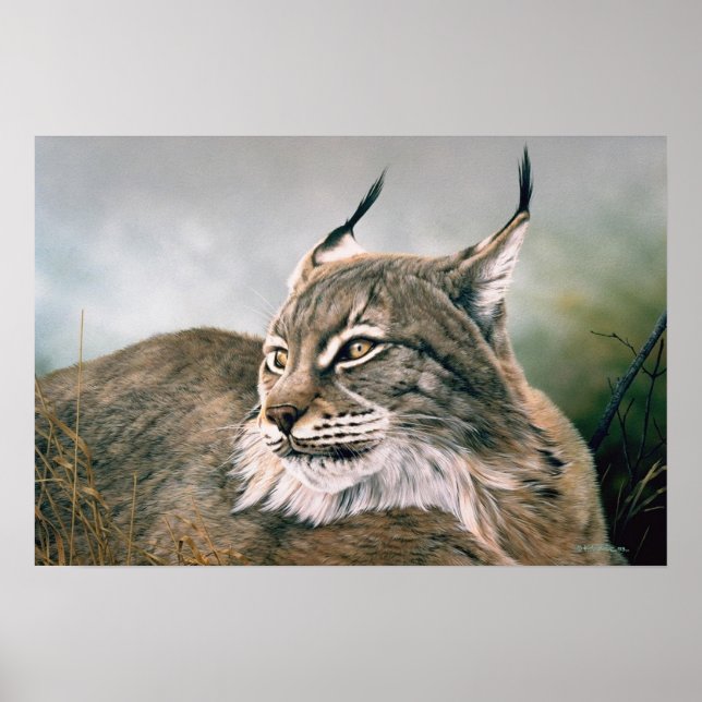 Into The Wind Poster (Front)