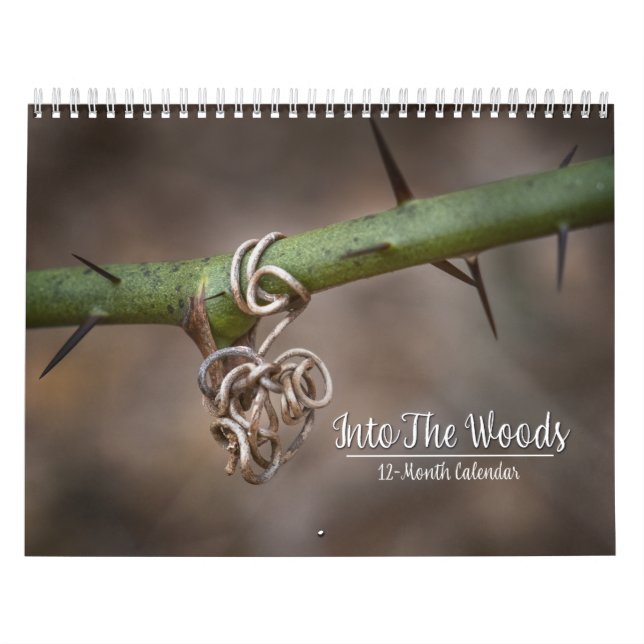 Into The Woods 12-Month Calendar (Cover)