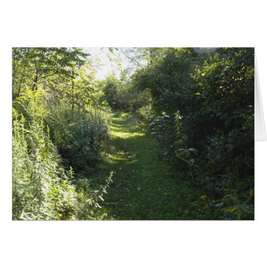 Into the Woods Cards (Front Horizontal)