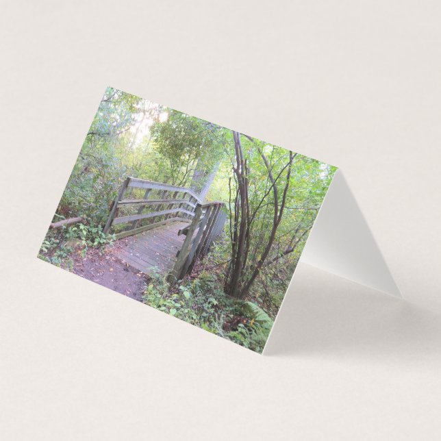 Into the Woods No.1 (Front)