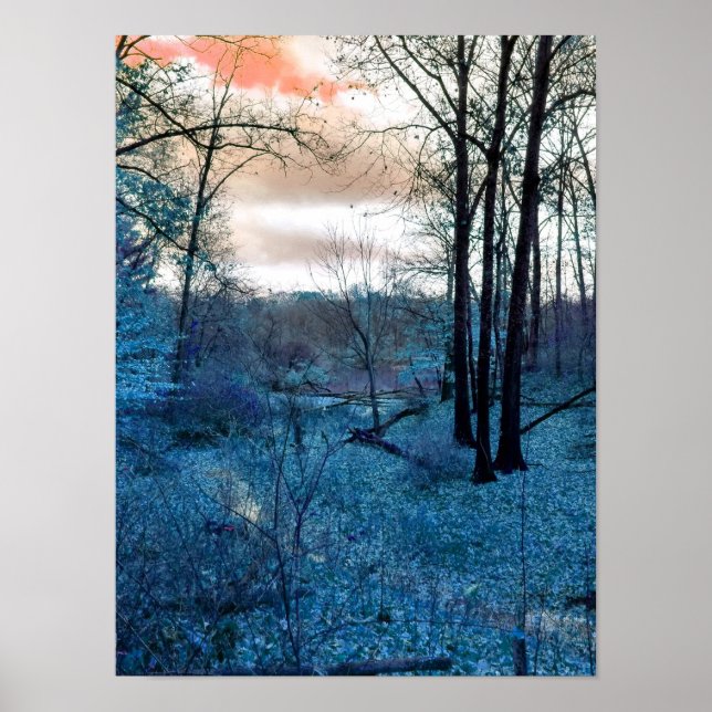 Into The Woods Poster (Front)