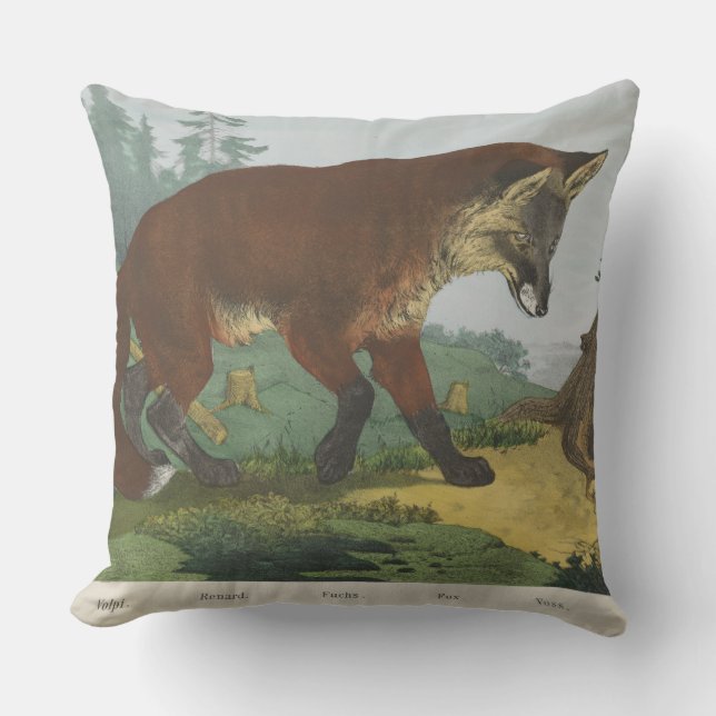 Into The Woods Throw Pillow (Front)