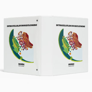 Intracellular Housecleaning Inside Endomembrane 3 Ring Binder