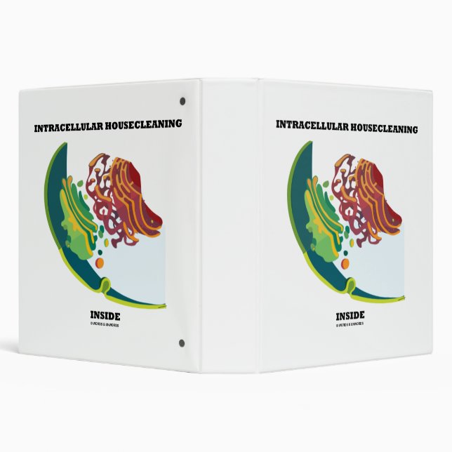Intracellular Housecleaning Inside Endomembrane 3 Ring Binder (Background)