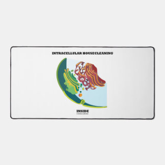 Intracellular Housecleaning Inside Endomembrane Desk Mat