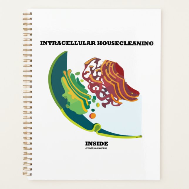 Intracellular Housecleaning Inside Endomembrane Planner (Front)