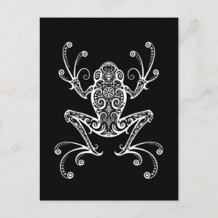 Intricate White Tree Frog on Black Postcard