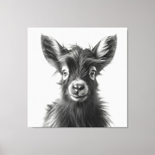 Intriguing Monochromatic Harmonious Baby Goat  Canvas Print