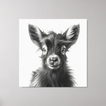 Intriguing Monochromatic Harmonious Baby Goat 